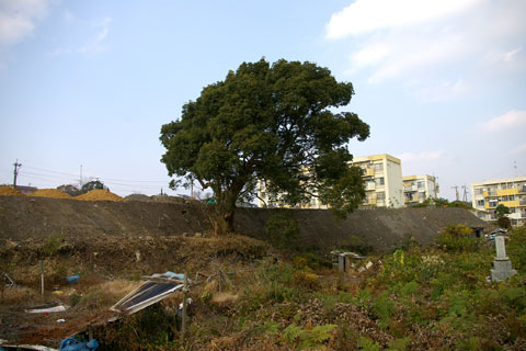 toshima-koho2.jpg