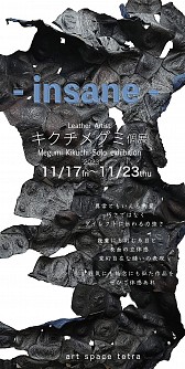 キクチメグミ個展  - insane -