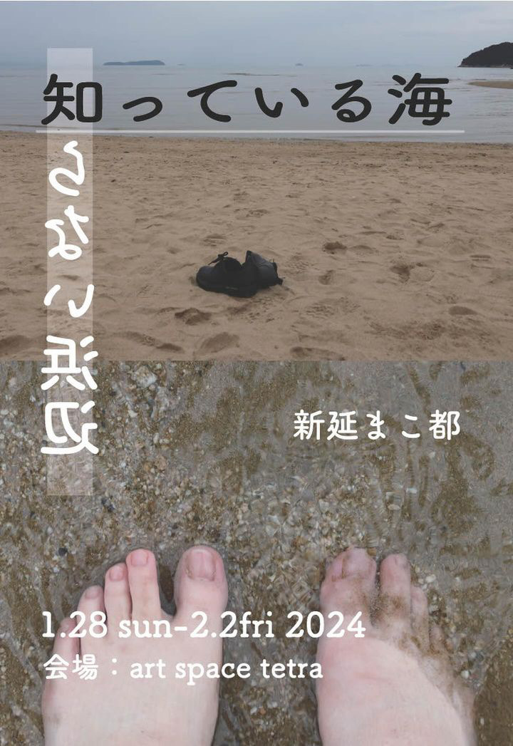 知っている海、知らない浜辺